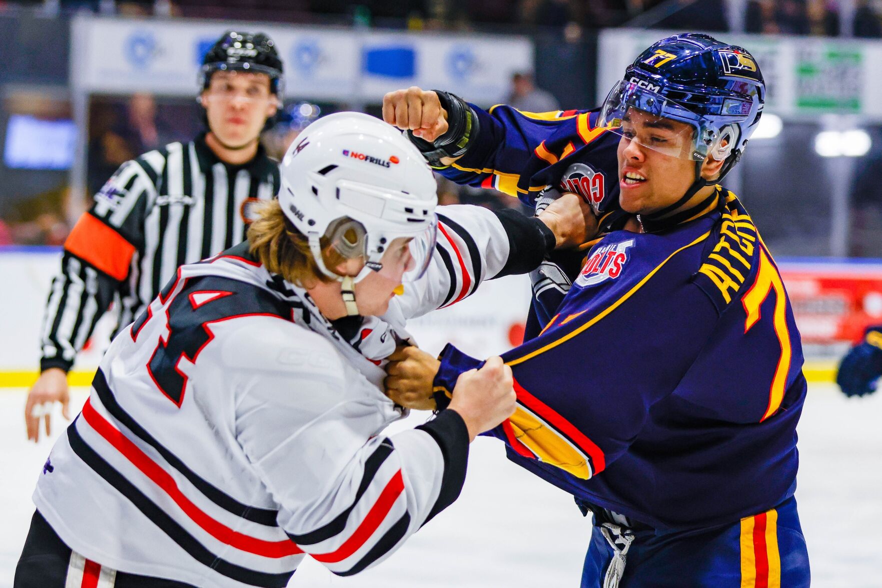 aitcheson-fight.jpg